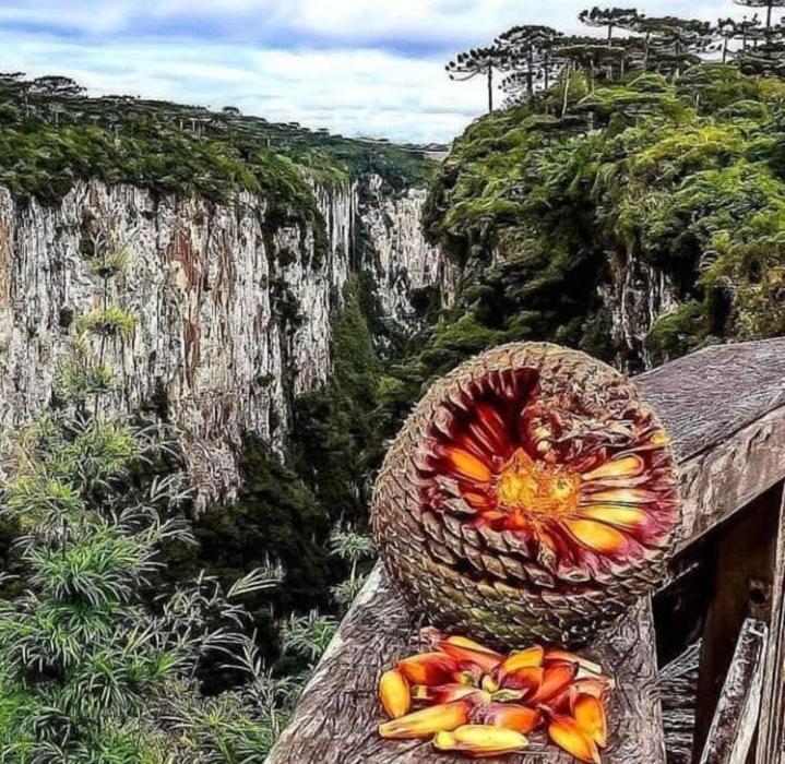 Pousada Encanto Dos Canions Cambará Zewnętrze zdjęcie